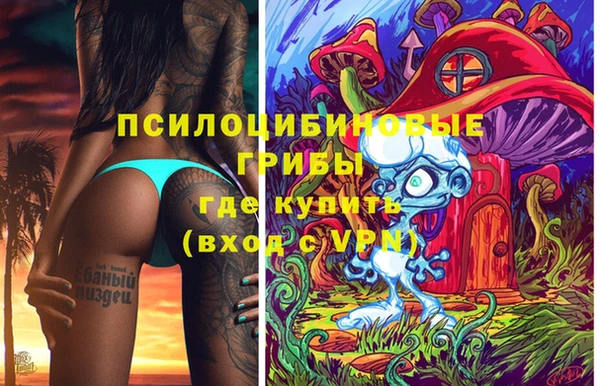 не бодяженный Зерноград